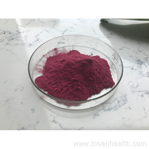 Natural Pure Mulberry Fruit Extract Powder